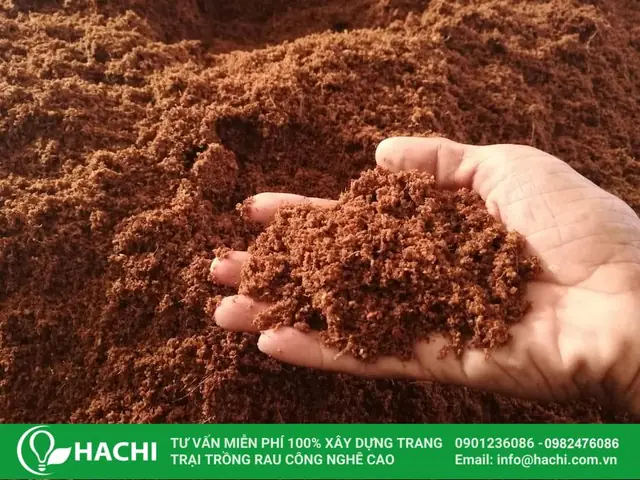 Cách Trồng Rau Thủy Canh Net Tại Nhà: Hướng Dẫn Chi Tiết, Dễ Thực Hiện Cách Trồng Rau Thủy Canh Net Tại Nhà: Hướng Dẫn Chi Tiết, Dễ Thực Hiện