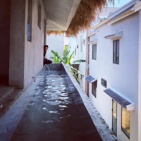 Cách Trồng Rau Trên Mái Nhà: Hướng Dẫn Làm Vườn Sân Thượng Và Mái Tôn An Toàn, Hiệu Quả Cách Trồng Rau Trên Mái Nhà: Hướng Dẫn Làm Vườn Sân Thượng Và Mái Tôn An Toàn, Hiệu Quả