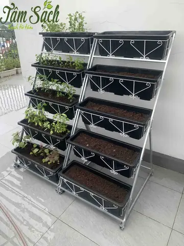 Cách Trồng Rau Trong Chậu Thông Minh: Hướng Dẫn Chọn Chậu, Gieo Hạt Và Chăm Sóc Cách Trồng Rau Trong Chậu Thông Minh: Hướng Dẫn Chọn Chậu, Gieo Hạt Và Chăm Sóc