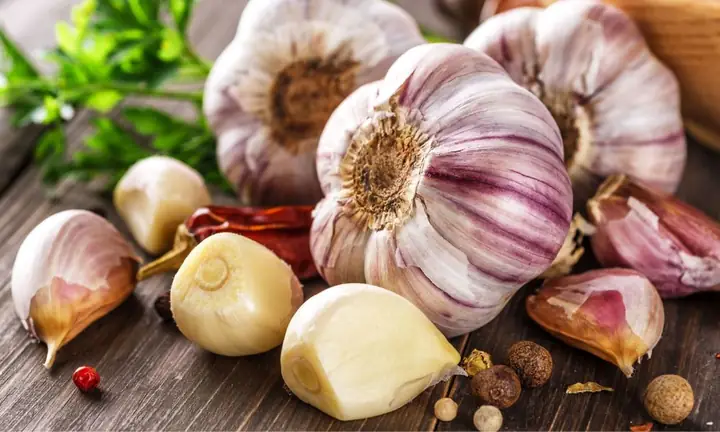 Cách Trồng Tỏi Ở Vườn Cho Người Mới: Chọn Giống, Chăm Sóc Và Thu Hoạch