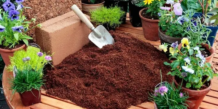 Cách Xử Lý Xơ Dừa Trồng Cây Đúng Kỹ Thuật: Ngâm, Vôi Và Kiểm Tra Ph