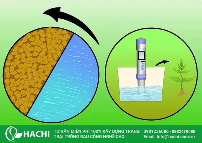 Cách Trồng Rau Thủy Canh Tại Nhà Cho Người Mới: Chọn Hệ Tĩnh Hay Hồi Lưu? Cách Trồng Rau Thủy Canh Tại Nhà Cho Người Mới: Chọn Hệ Tĩnh Hay Hồi Lưu?