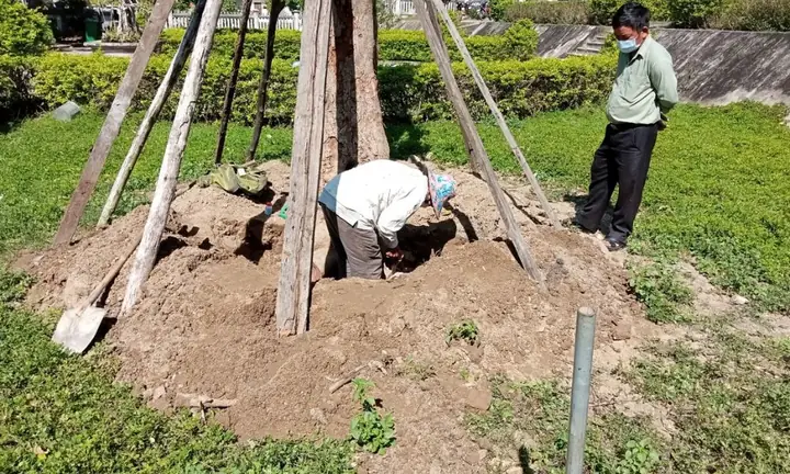 Hướng Dẫn Cách Trồng Cây Đúng Kỹ Thuật Cho Người Mới