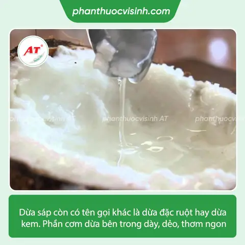 Khoảng Cách Trồng Hồng Xiêm Xoài: 6–8m Giữa Cây, 7–10m Giữa Hàng