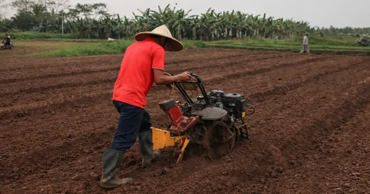 Khoảng Cách Trồng Lạc Nên Bao Nhiêu? Hướng Dẫn Chọn Hốc, Hàng Và Mật Độ Cây Khoảng Cách Trồng Lạc Nên Bao Nhiêu? Hướng Dẫn Chọn Hốc, Hàng Và Mật Độ Cây